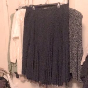 Paniz accordion navy skirt 18
